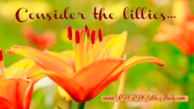 Consider The Lillies: The Gift Of God’s Love For Our Children