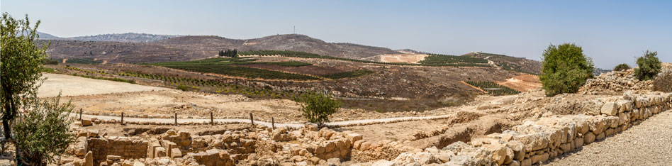RDRD Bible Study Shiloh Israel Landscape View From Archaelogical Park 1 of 3